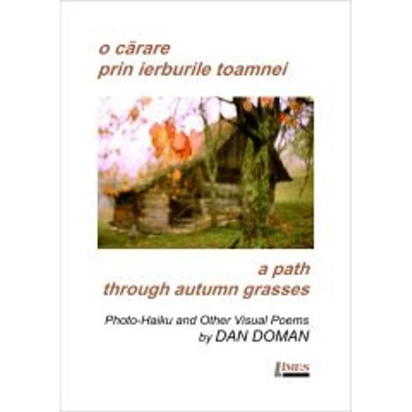 O carare prin ierburile toamnei. A path through autumn grasses - Dan Doman