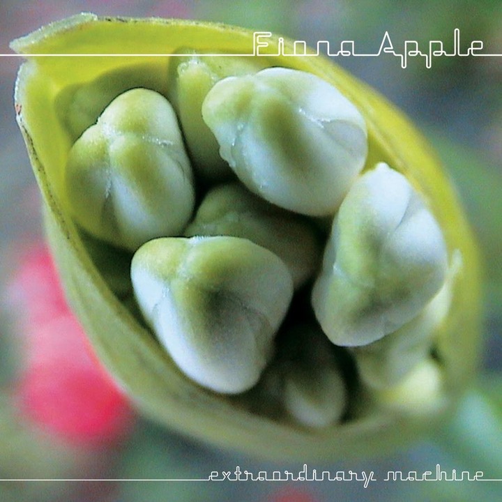 Fiona Apple-Extraordinary Machine-CD