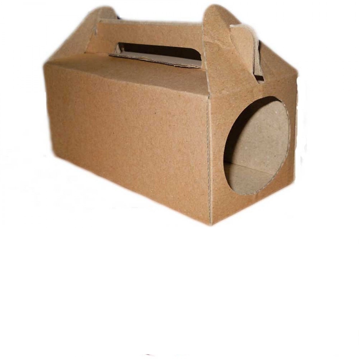 Statie intoxicare din carton 33cmX14cmX15 cm