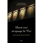 Povestire Dureroasa Sfantul Dimitrie Al Rostovului Editura Bunavestire Emag Ro