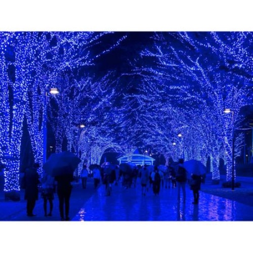 Instalatie de Craciun 6 m x 0.7 m, Perdea Franjurata Albastra, 198 leduri, SDX, 6005B