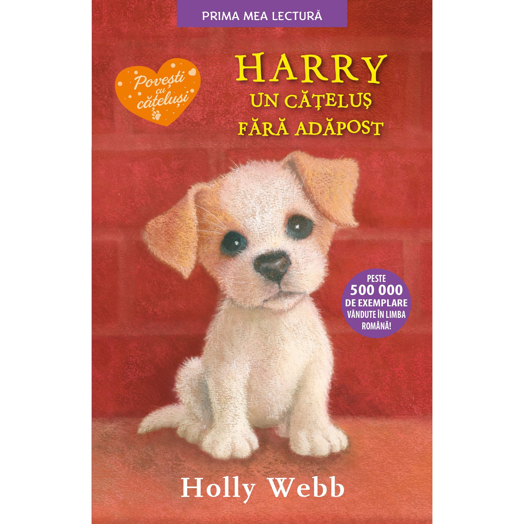 Harry, un catelus fara adapost - Holly Webb