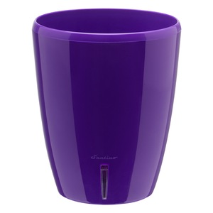 Ghivece si suporturi