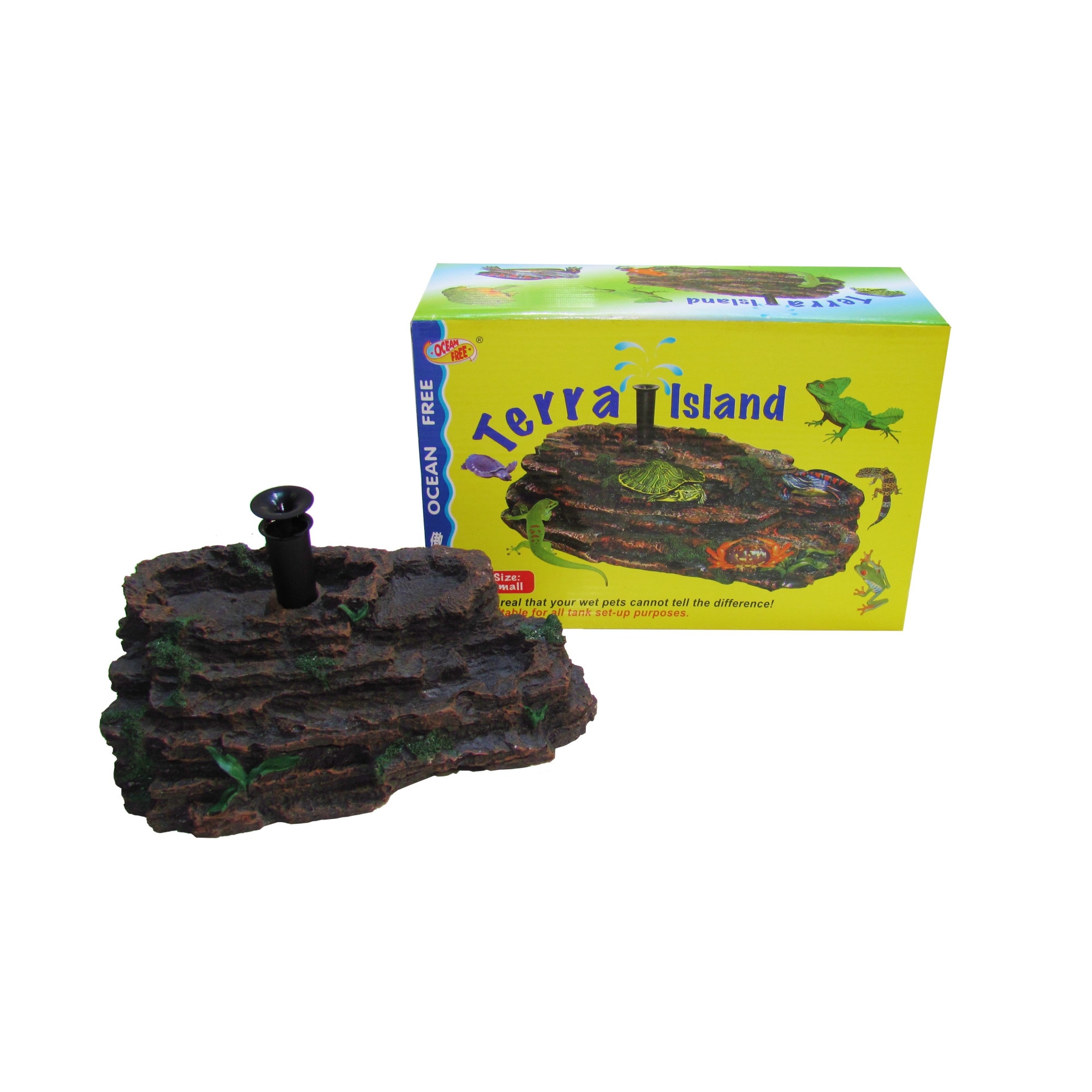 Insula broscute Terra Island