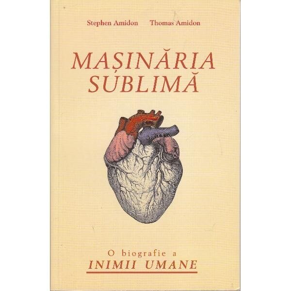 Masinaria sublima - Stephen Amidon