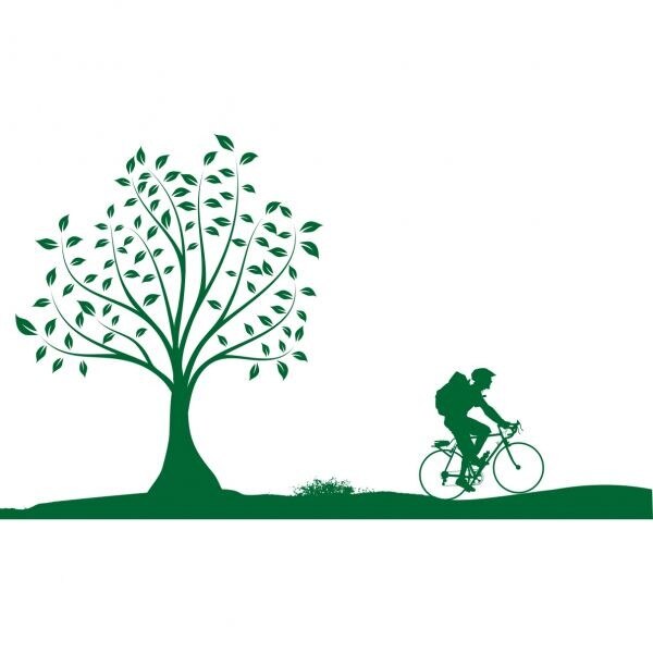 Sticker decorativ Bicycle Tree, 305 x 180 cm, verde