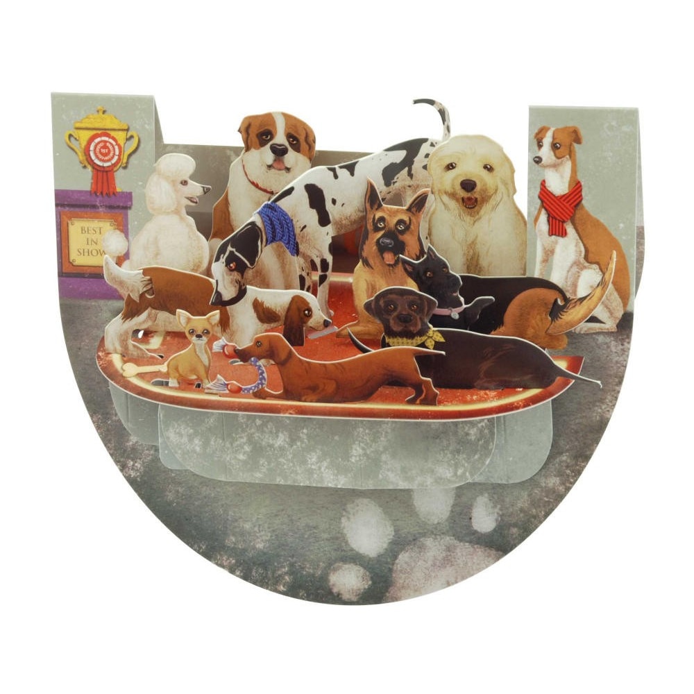 Felicitare Pop'n Rock - Best In Show