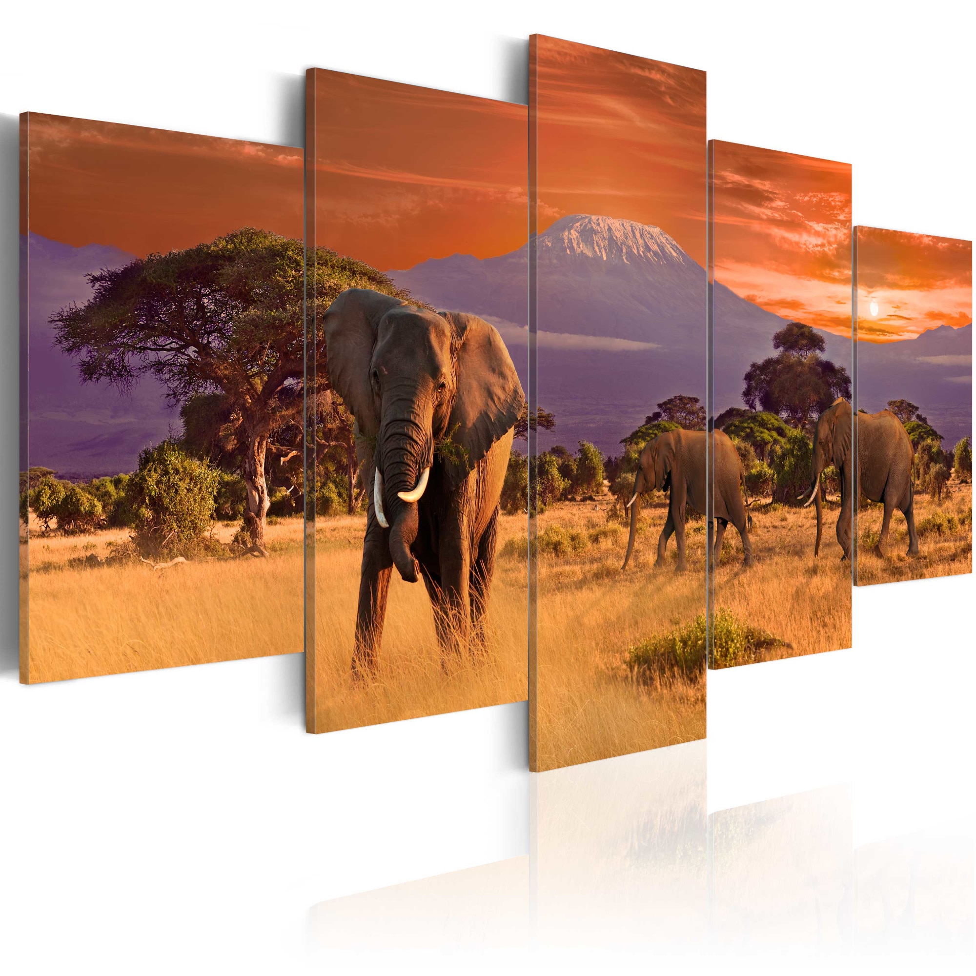 Tablou canvas 5 piese - Africa: Elefanti - 100x50 cm
