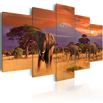 Tablou canvas 5 piese - Africa: Elefanti - 100x50 cm Tablou canvas 5 piese - Africa: Elefanti - 100x50 cm