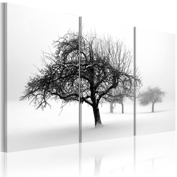 Tablou canvas 3 piese - Copacii scufundati In alb - 120x80 cm