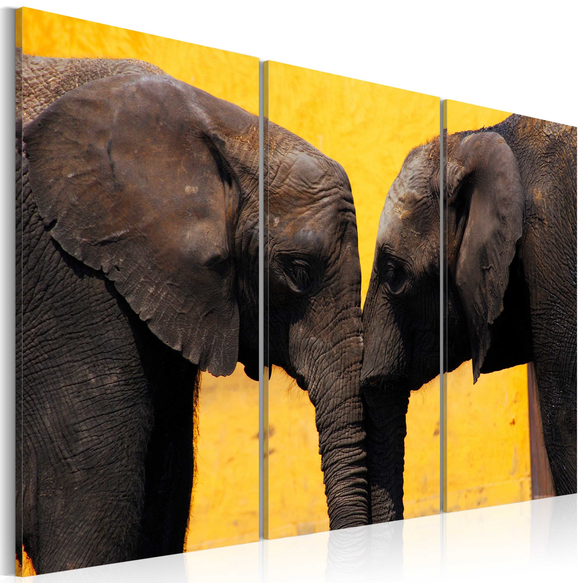 Tablou canvas 3 piese - Elephant sarut - 120x80 cm