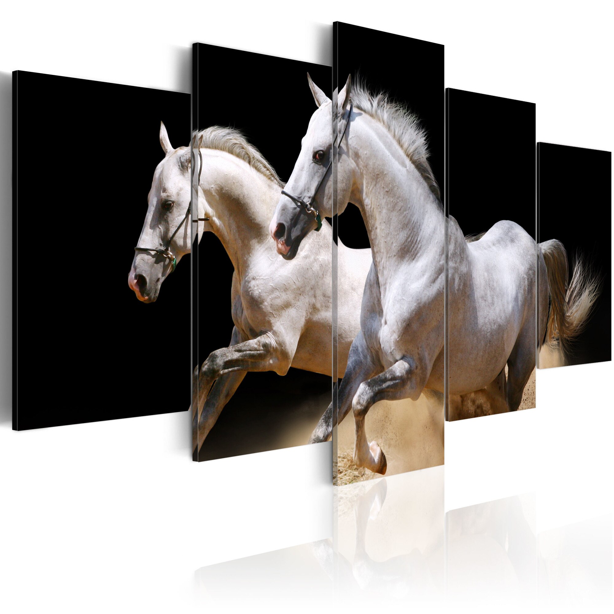 Tablou canvas 5 piese - Galop - libertate si putere - 100x50 cm