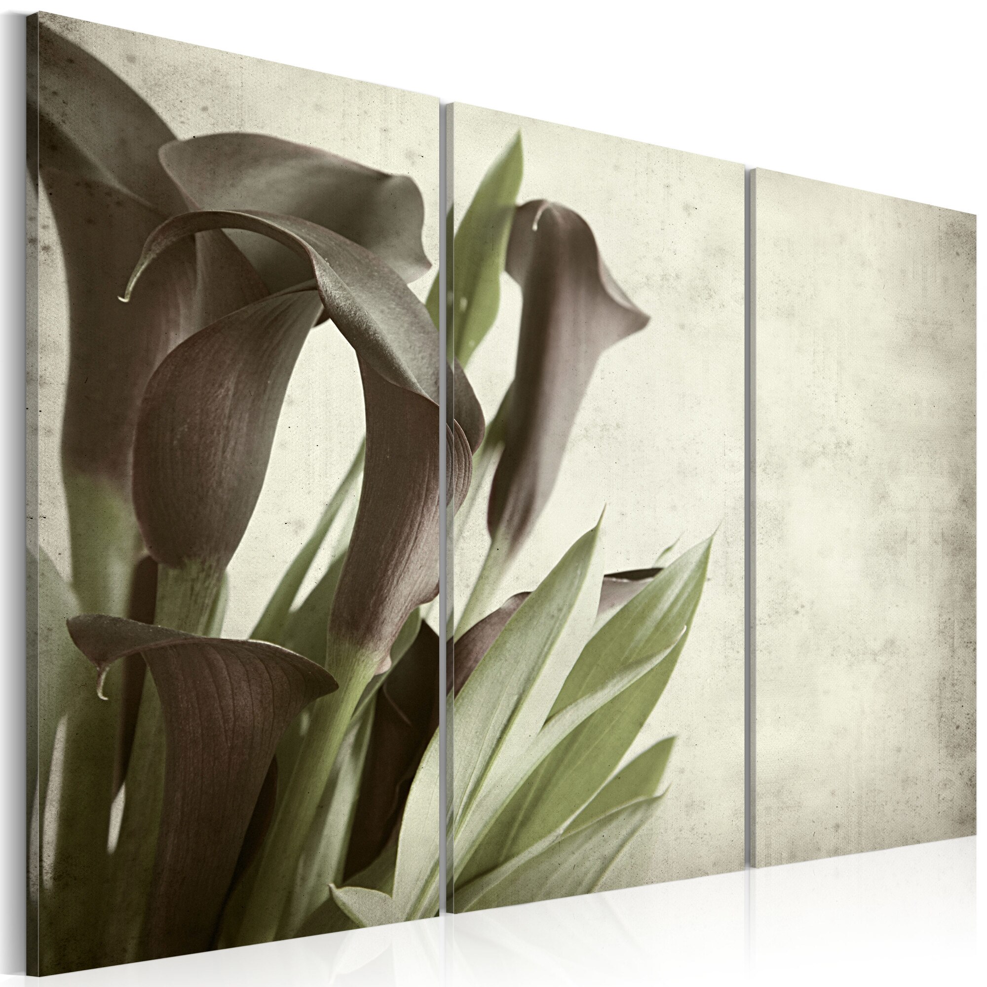 Tablou canvas 3 piese - Callas vintage - 60x40 cm