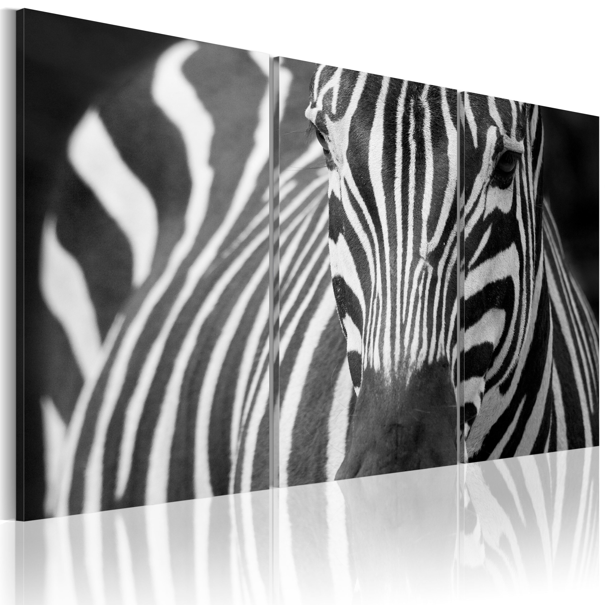 Tablou canvas 3 piese - Doamna Zebra - 120x80 cm