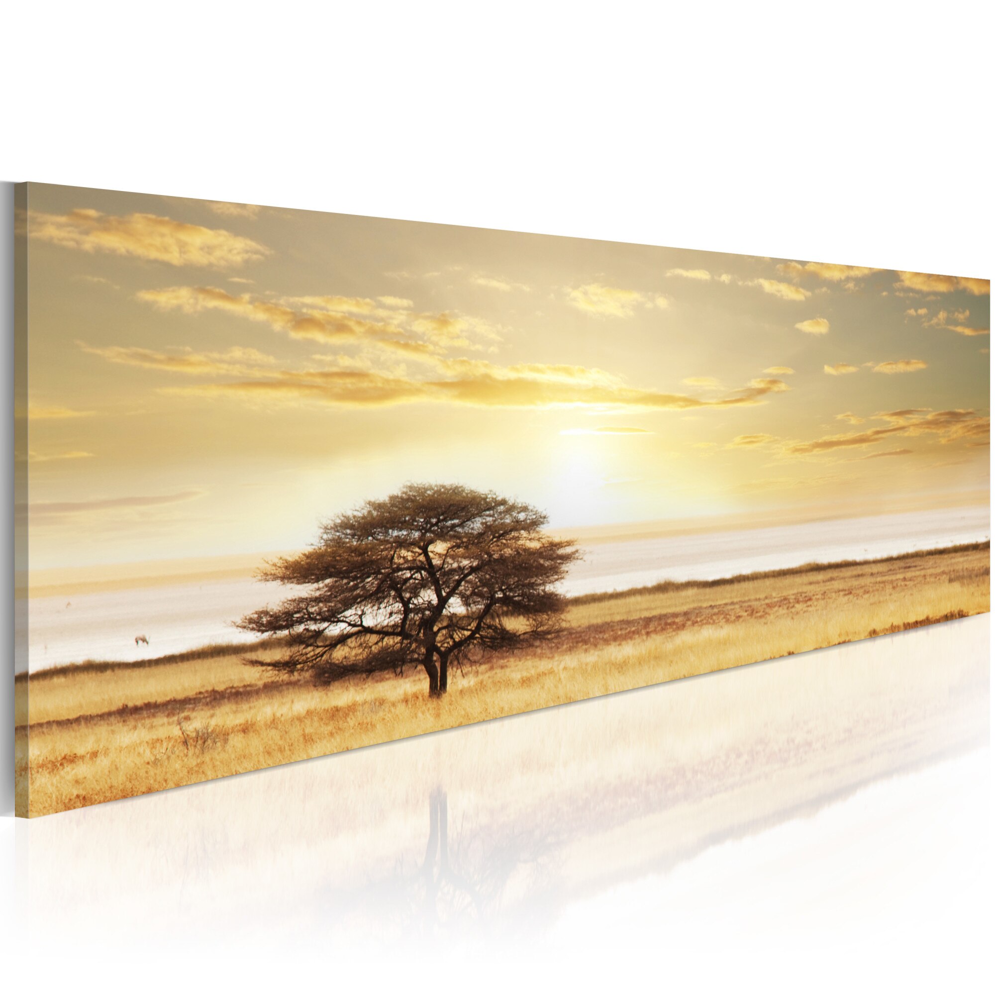 Tablou canvas - Copac singuratic pe savana - 120x40 cm
