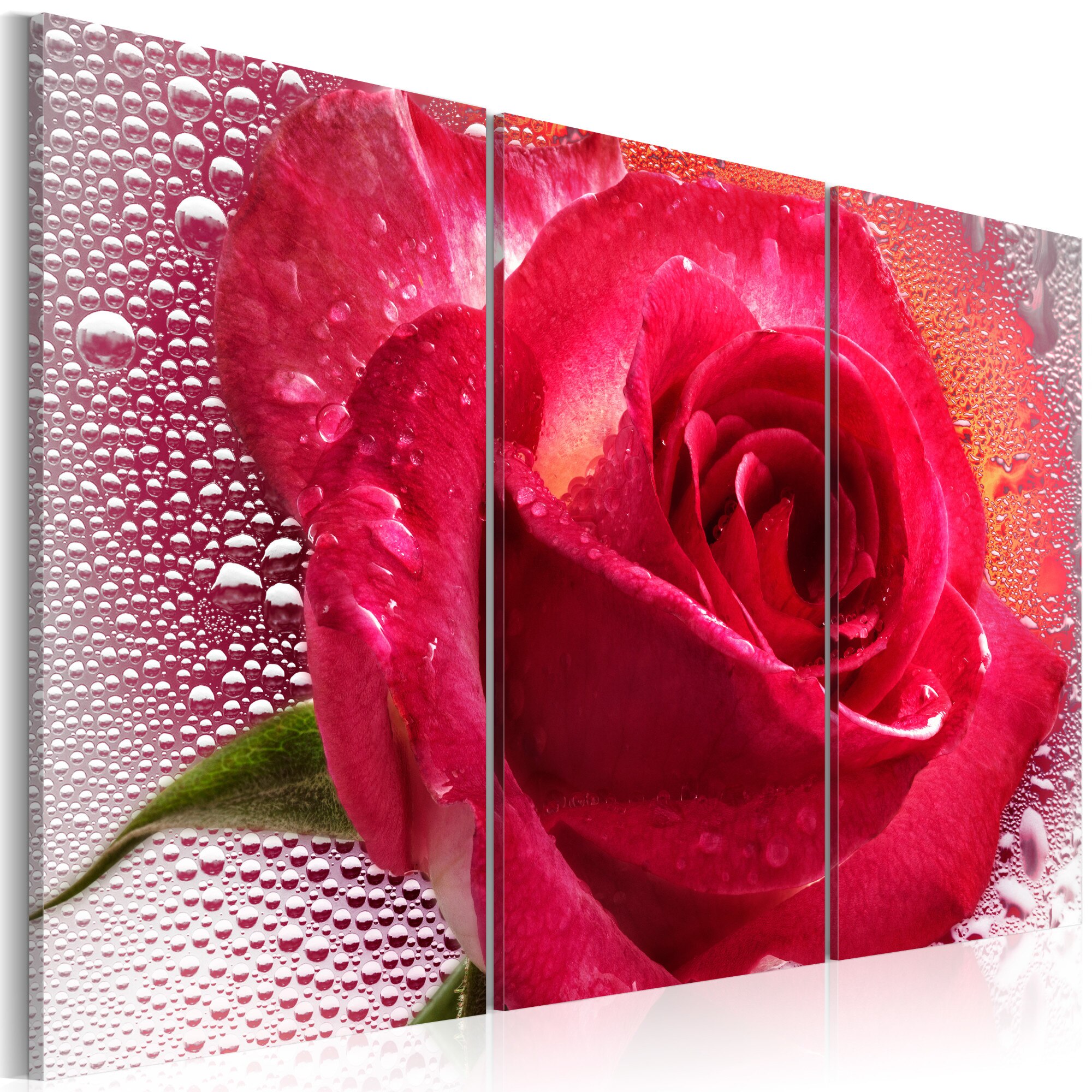 Tablou canvas 3 piese - Lupta de la Lady Rose - 60x40 cm
