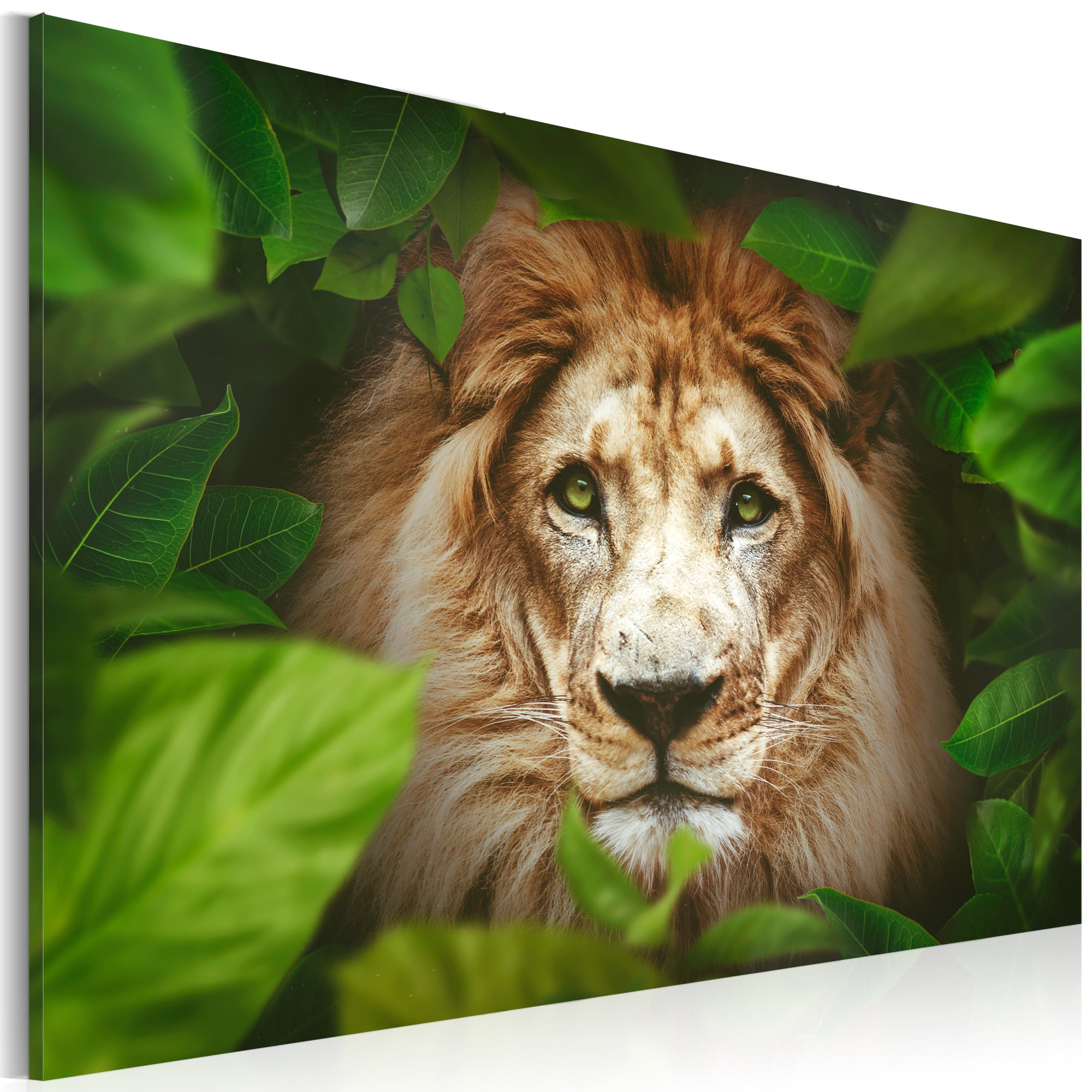 Tablou canvas - Ochii junglei - 60x40 cm