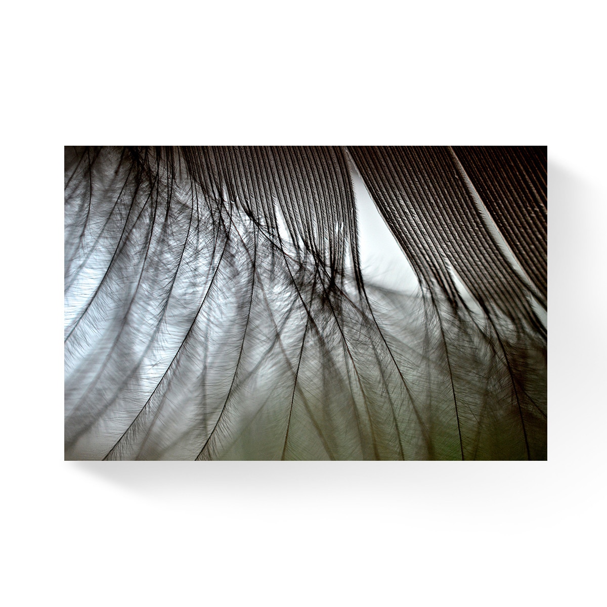 Tablou Canvas - Abstract, Pene, 80 x 120 cm