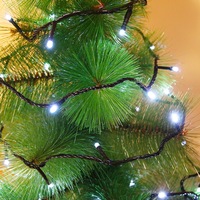 instalatie de craciun flippy tip liniara fir negru 9 m 100 led-uri interconectabila alb rece imagen 23_0_
0