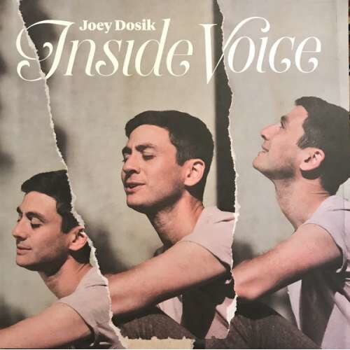 Joey Dosik - Inside Voice -Coloured- (LP)
