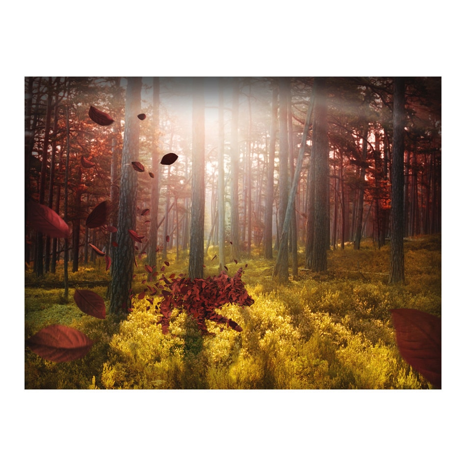 Fototapet vlies - Animism - 250 x 193 cm