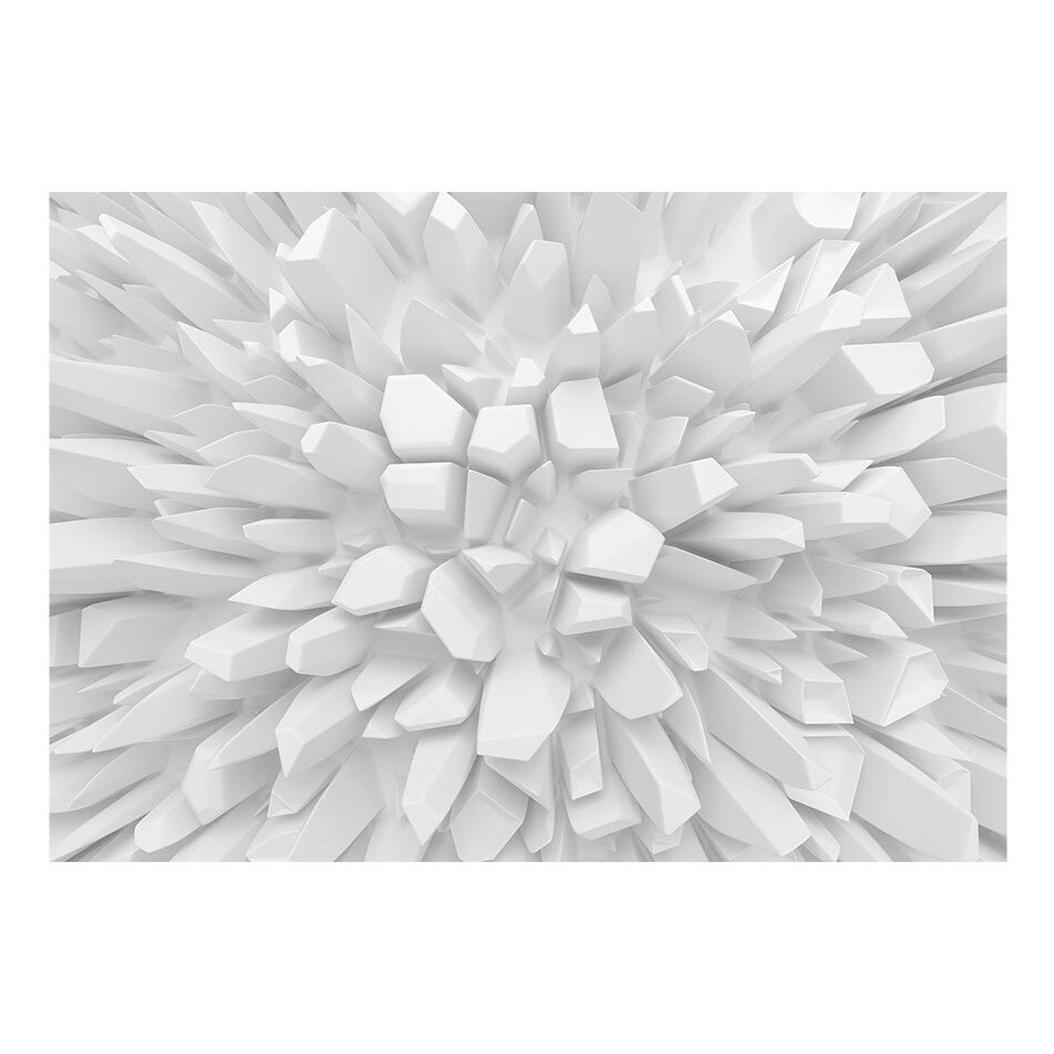 Fototapet vlies - Dahlia alba - 150 x 105 cm