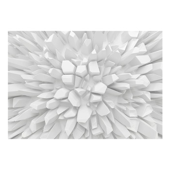 Fototapet vlies - Dahlia alba - 350 x 245 cm Fototapet vlies - Dahlia alba - 350 x 245 cm