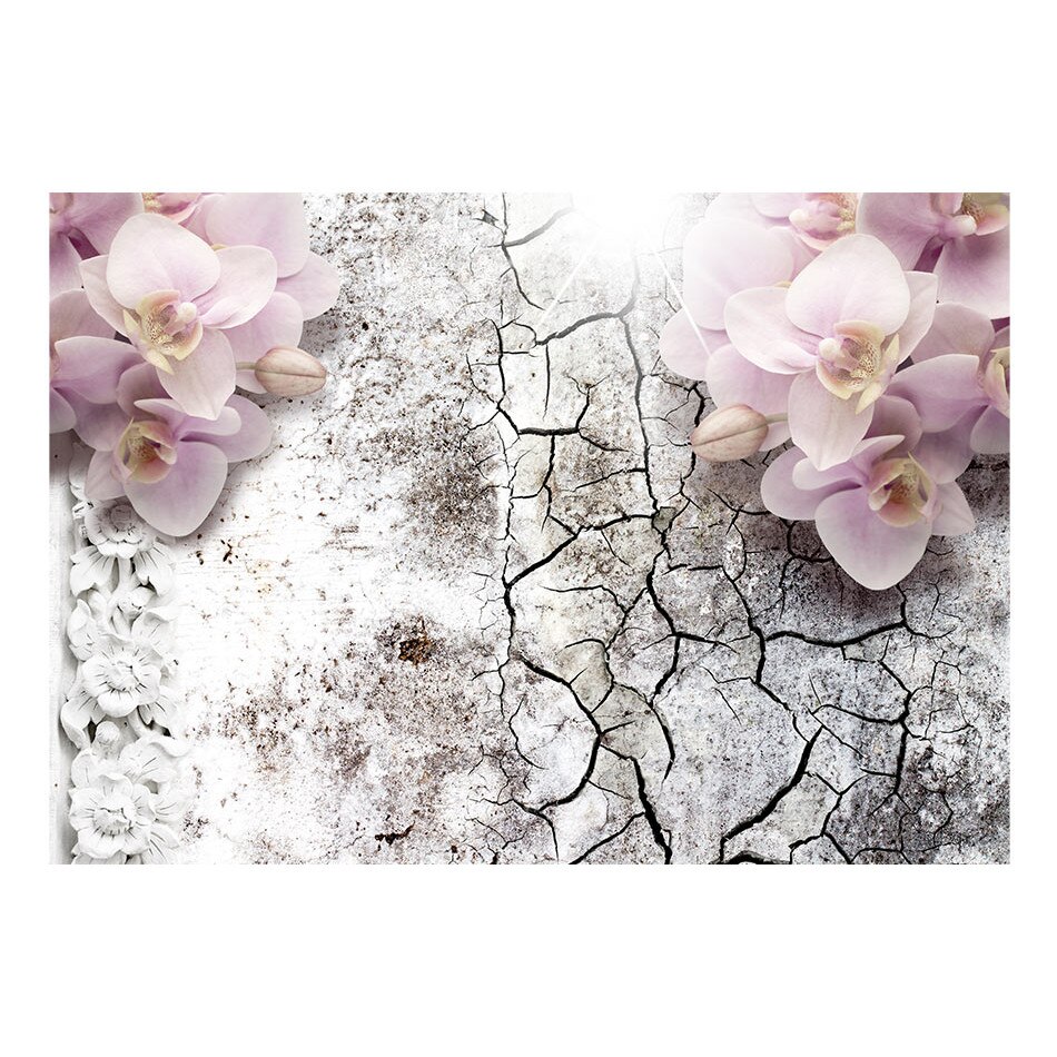 Fototapet vlies - Luminoase orhidee rosii - 400 x 280 cm