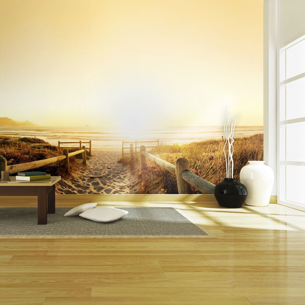 Fototapet vlies - Going in the direction of the sun... - 450 x 270 cm