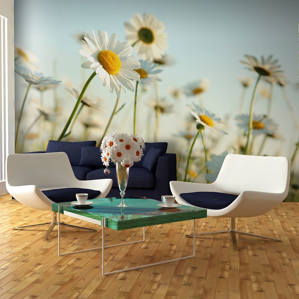 Fototapet vlies - Daisies - spring meadow - 450 x 270 cm