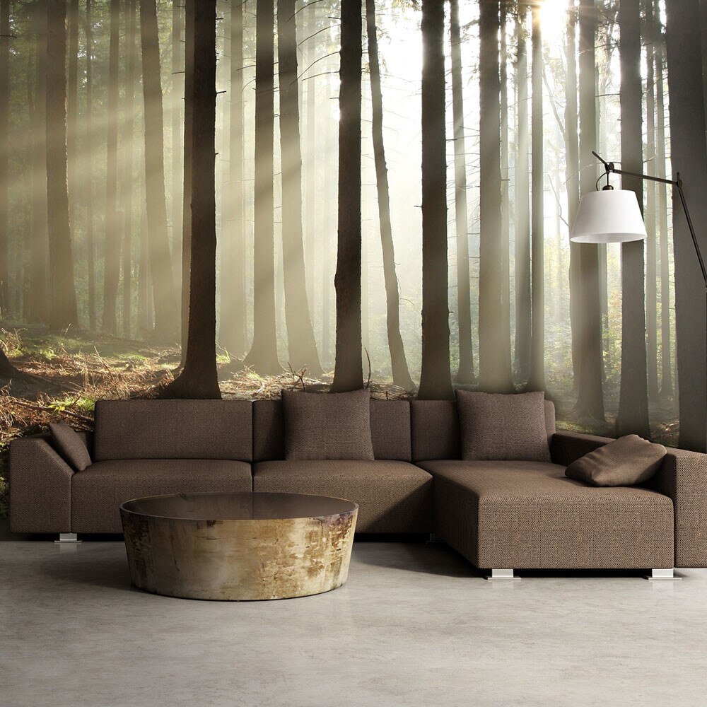 Fototapet vlies - Coniferous forest - 450 x 270 cm