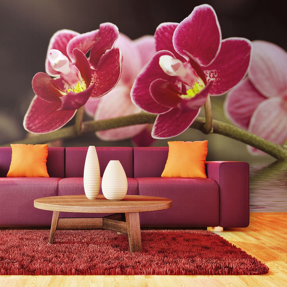 Fototapet vlies - Beautiful orchid flowers on the water - 450 x 270 cm