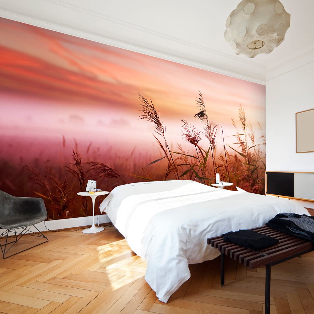 Fototapet vlies - Morning meadow - 450 x 270 cm