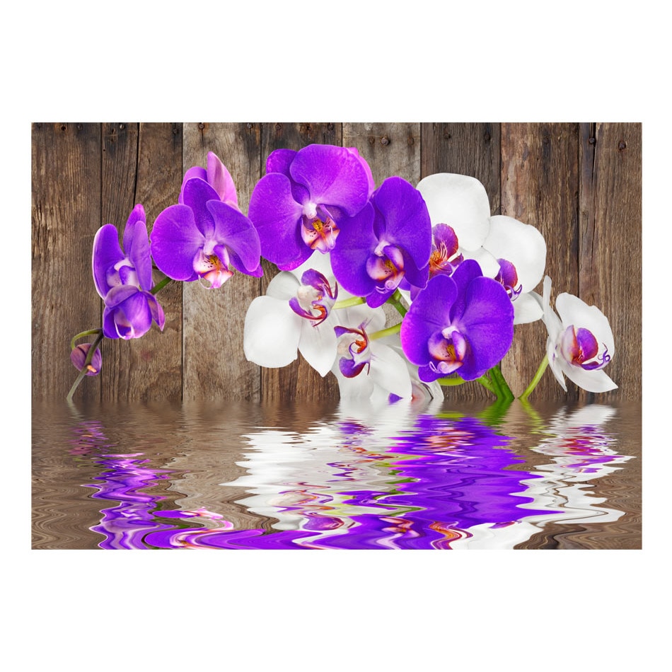 Fototapet vlies - Conexiune - 350 x 245 cm