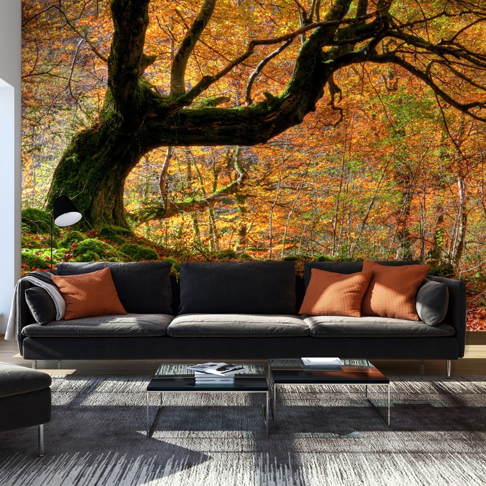 Fototapet vlies - Autumn, forest and leaves - 450 x 270 cm