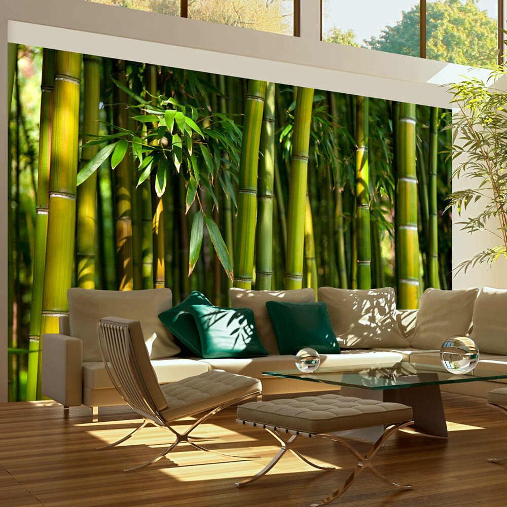 Fototapet vlies - Asian bamboo forest - 450 x 270 cm