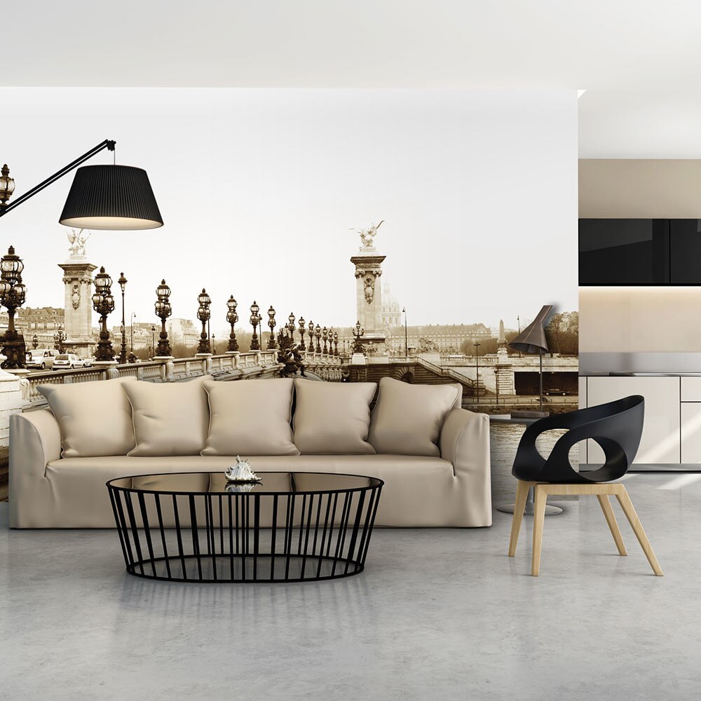 Fototapet vlies - Alexander III Bridge, Paris - 450 x 270 cm