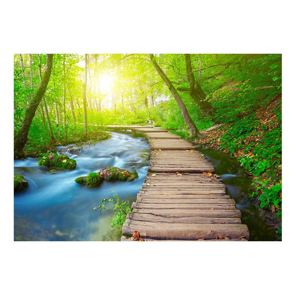 Fototapet vlies - Padure verde - 100 x 70 cm