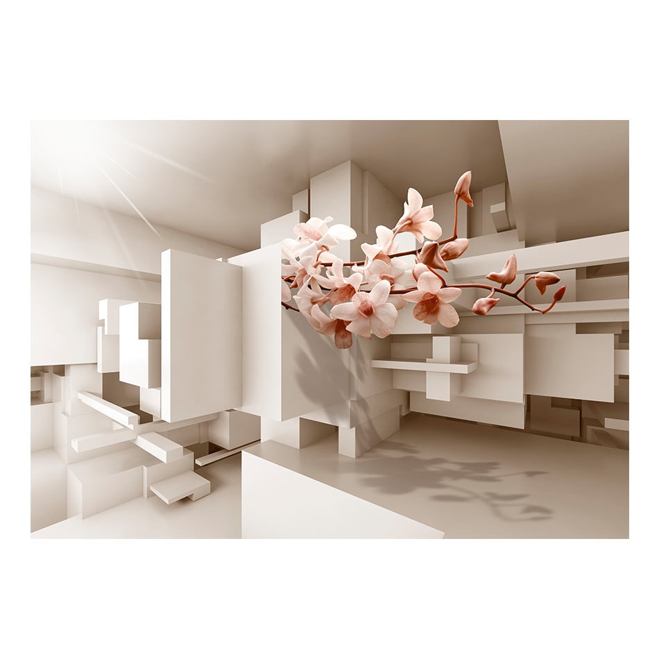 Fototapet vlies - Urban Botany - 100 x 70 cm