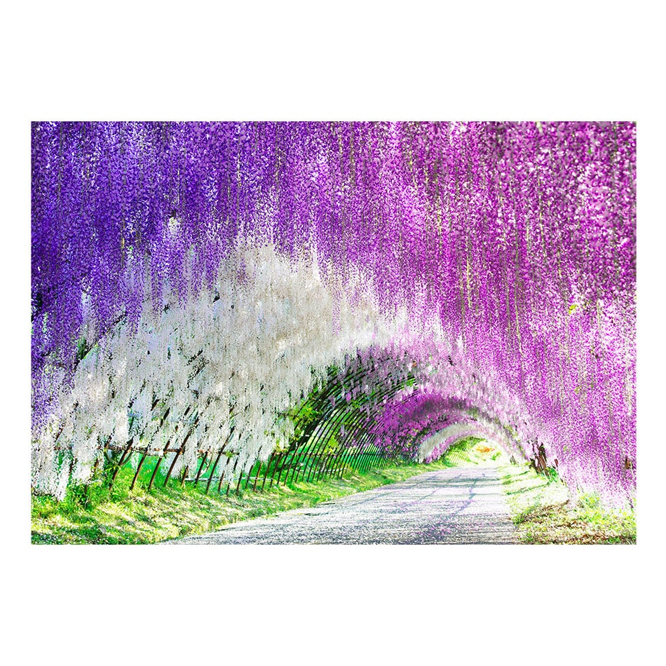 Fototapet vlies - Gradina incantata - 100 x 70 cm