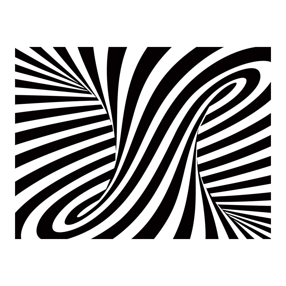 Fototapet vlies - Arta optica alb si negru - 350 x 270 cm