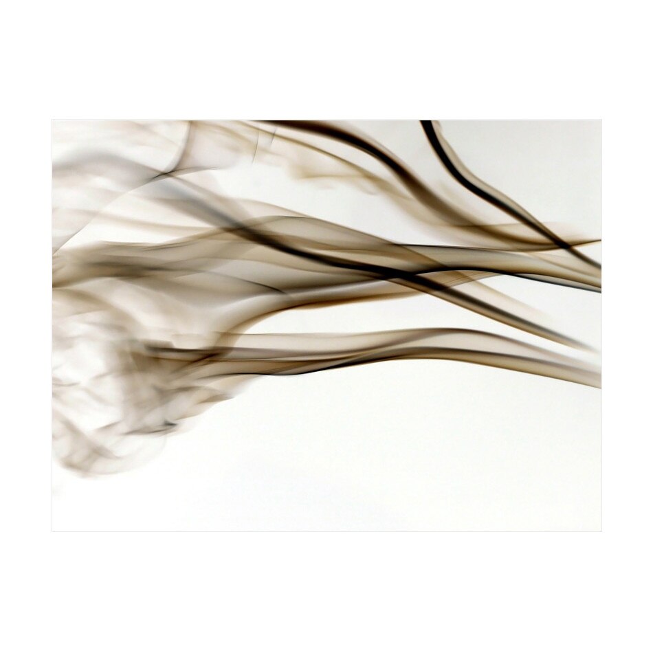 Fototapet vlies - Fum abstract - 300 x 231 cm