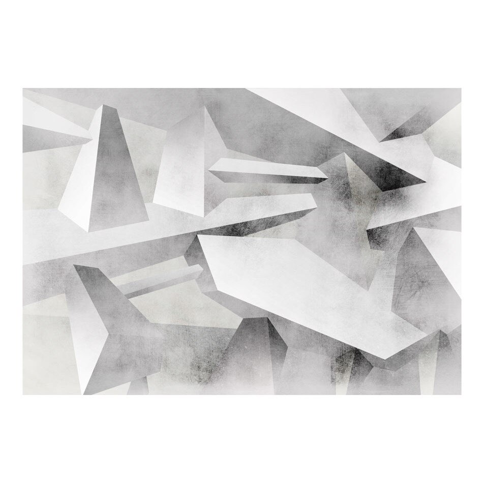Fototapet vlies - Aripi inghetate - 350 x 245 cm