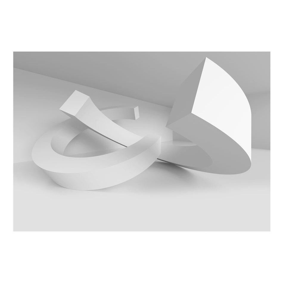 Fototapet vlies - Duet alb - 350 x 245 cm