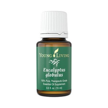 Ulei esential Eucalipt Globulus 15 ml Ulei esential Eucalipt Globulus 15 ml