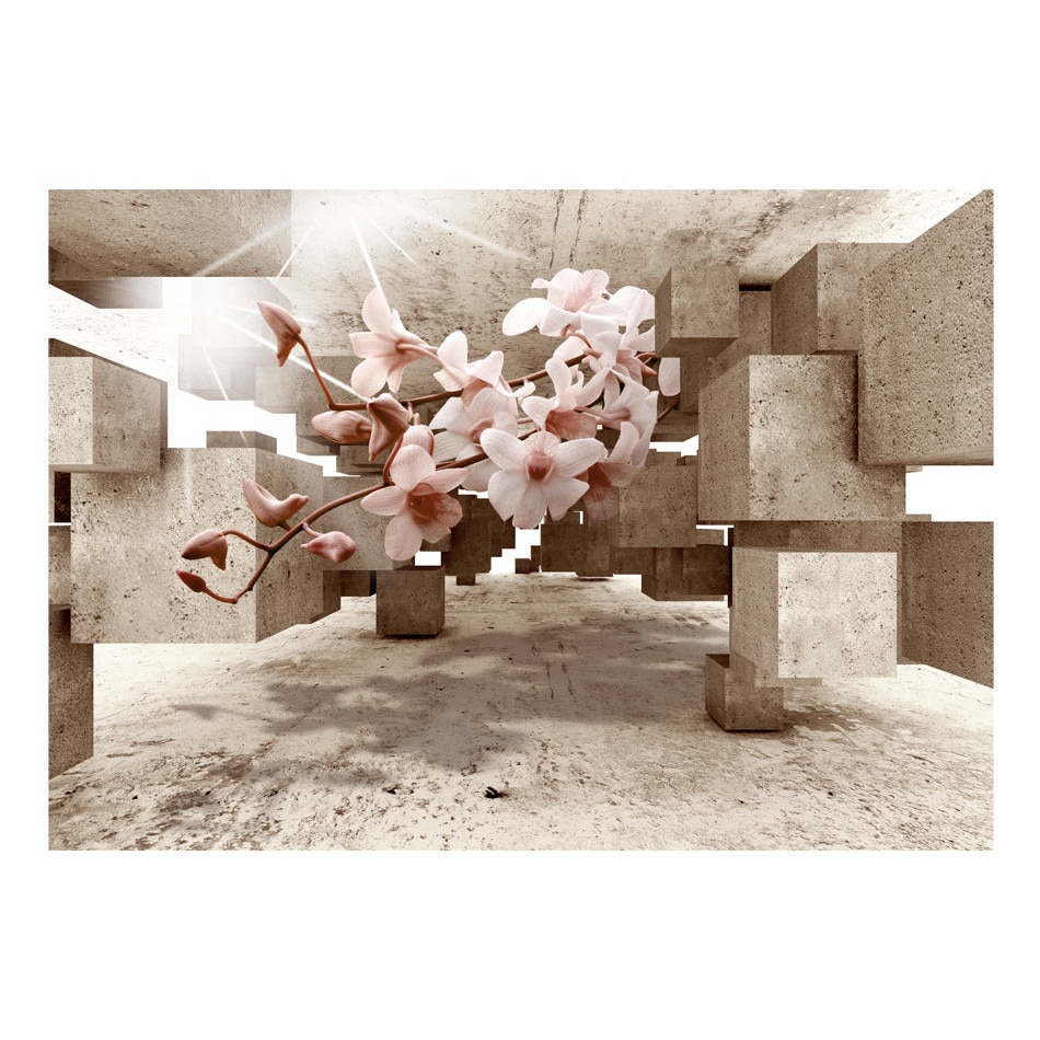 Fototapet vlies - Micul Minune - 300 x 210 cm