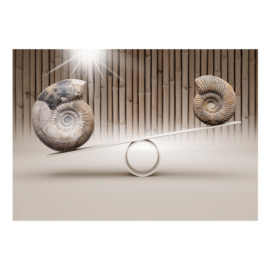Fototapet vlies - Distractie cu fosilele - 350 x 245 cm