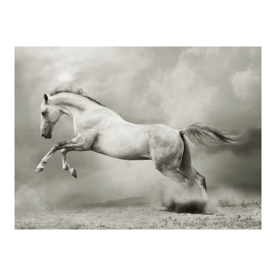 Fototapet vlies - Stapanul salbatic - 400 x 309 cm