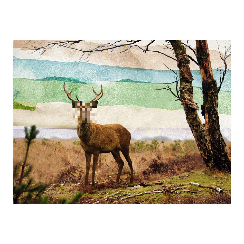 Fototapet vlies - Forest fugitive - 300 x 231 cm