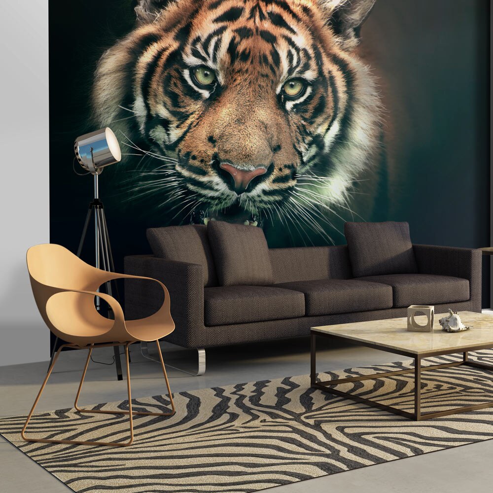 Fototapet vlies - Bengal Tiger - 350 x 270 cm